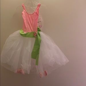 🌸 Girls Pink & White Tutu Dress w/ Green‎ Sash – Size L